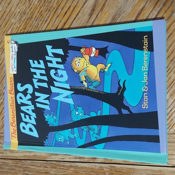 The Berenstain Bears Bears In The Night - Picture 14 of 14